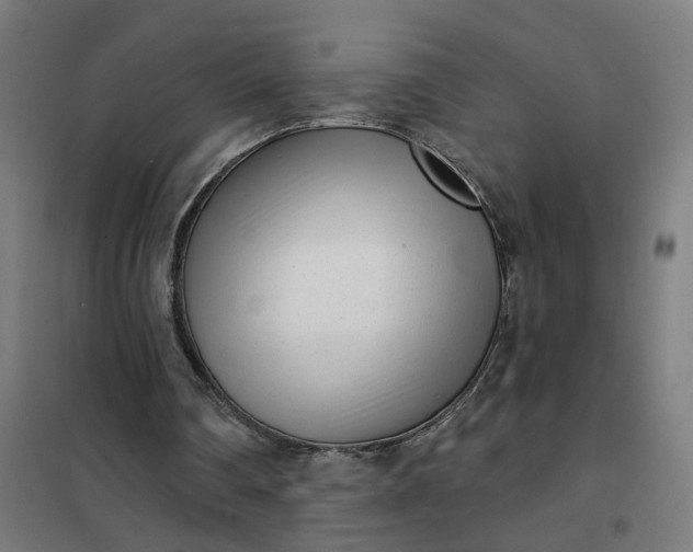 X0000101700290200807241439