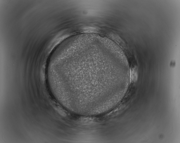 X0000101700291200807241439