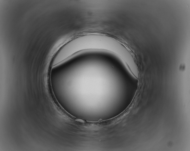 X0000101700293200807241439