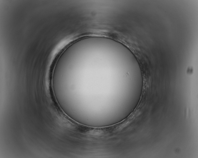 X0000101700294200807241439