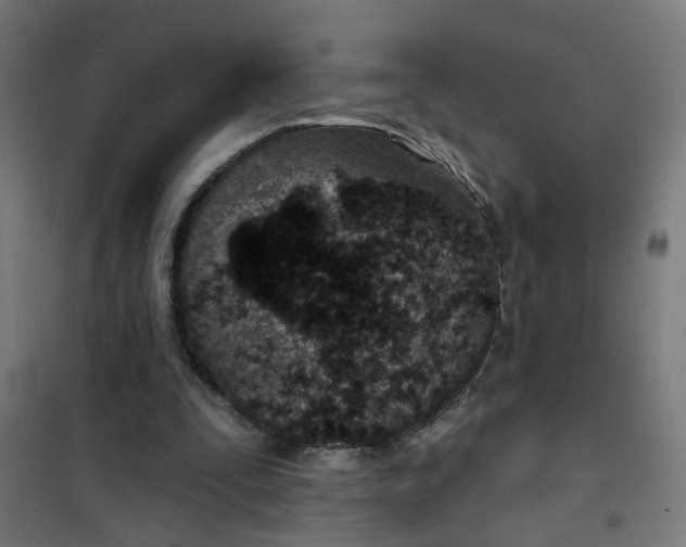 X0000101700295200807241439