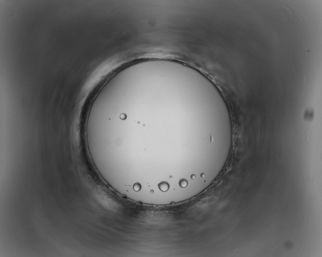 X0000101700296200807241439