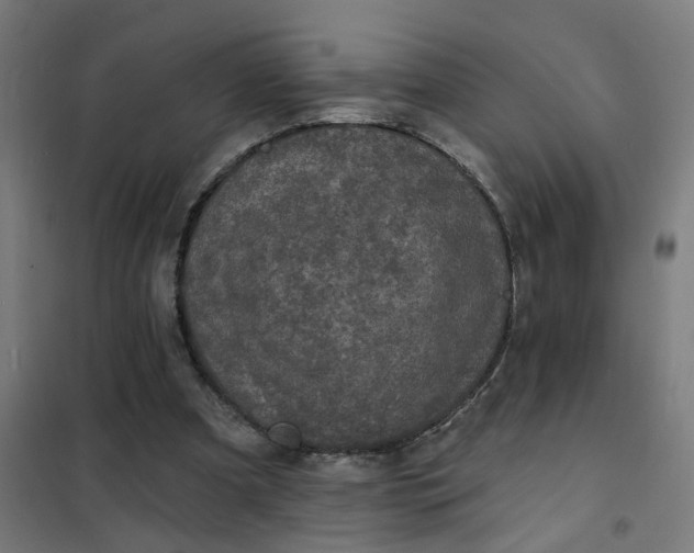 X0000101700297200807241439