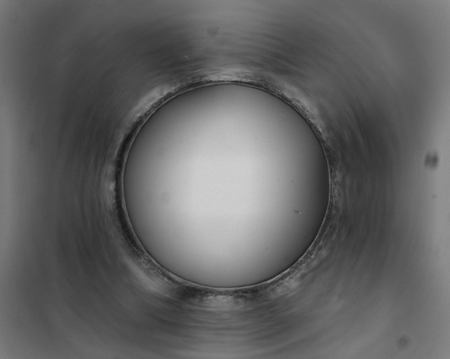 X0000101700298200807241439