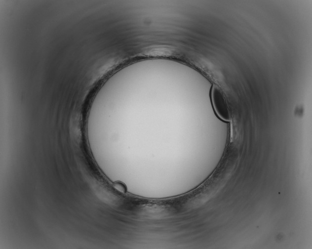 X0000101700300200807241439