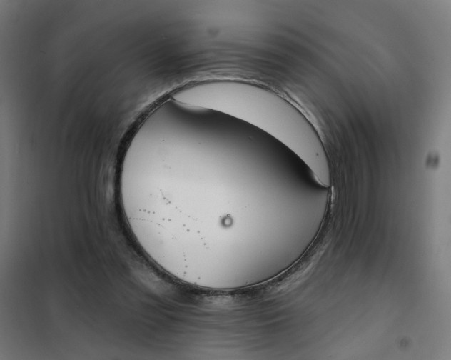 X0000101700301200807241439