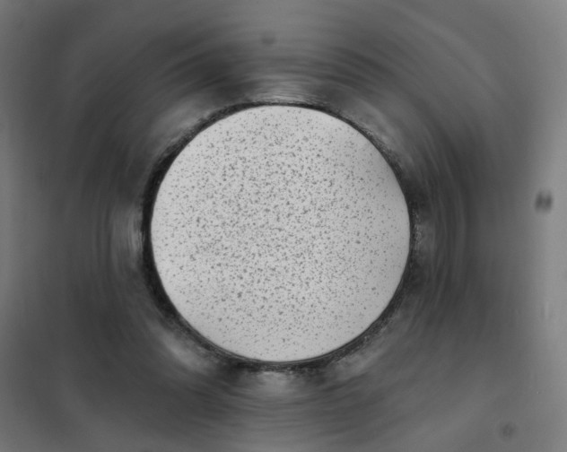 X0000101700302200807241439