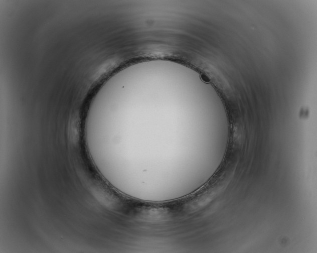 X0000101700304200807241439