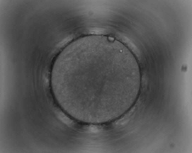 X0000101700305200807241439