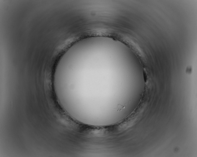 X0000101700306200807241439