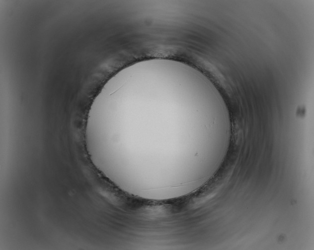 X0000101700307200807241439