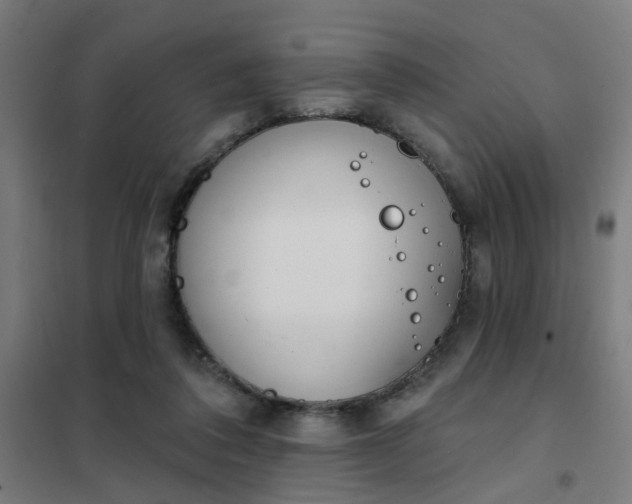 X0000101700308200807241439