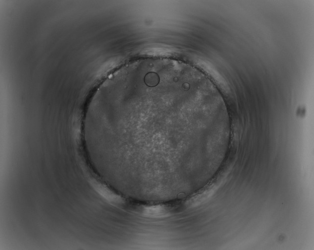 X0000101700309200807241439