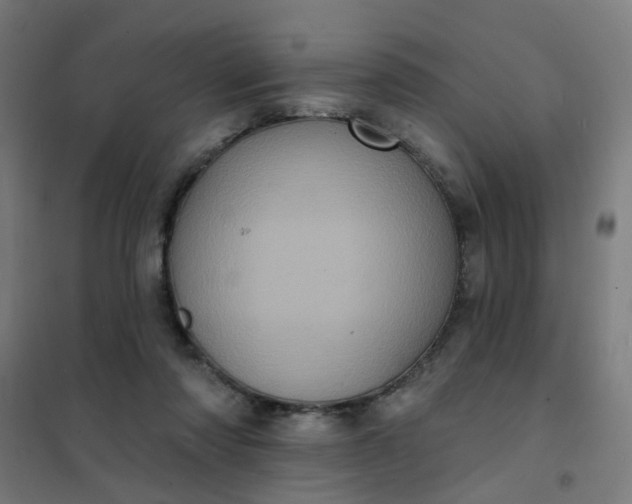 X0000101700310200807241439