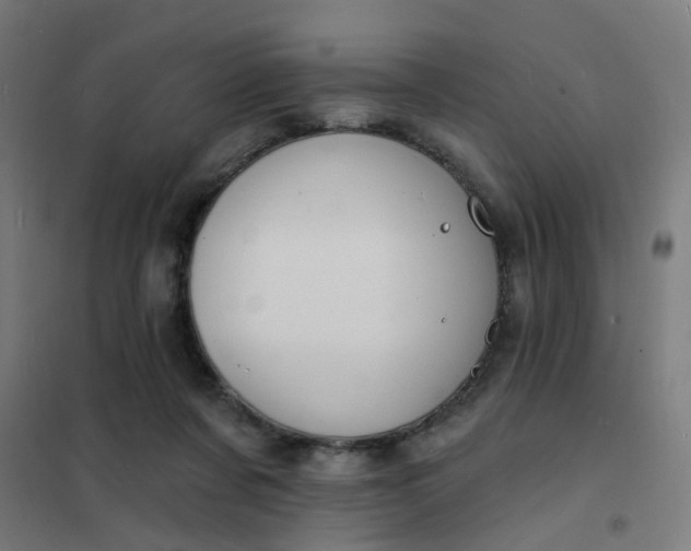 X0000101700311200807241439