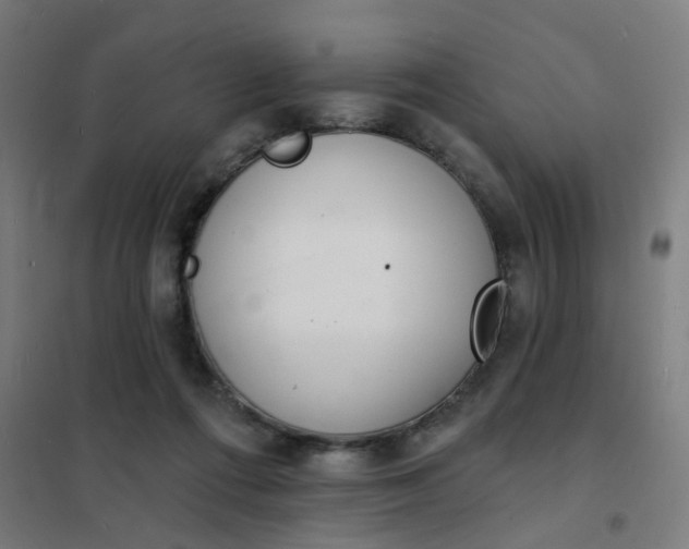 X0000101700312200807241439