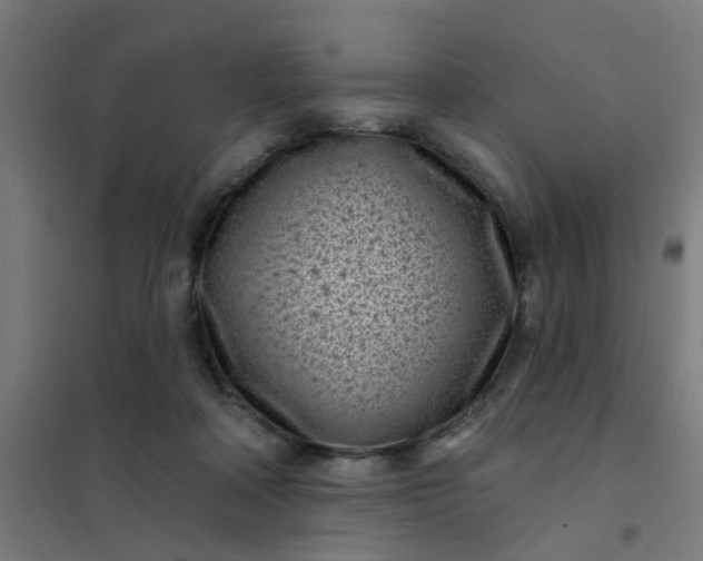 X0000101700314200807241439