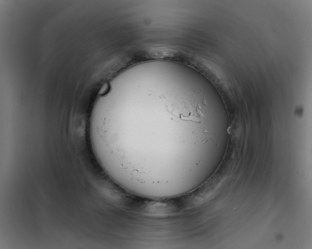 X0000101700315200807241439