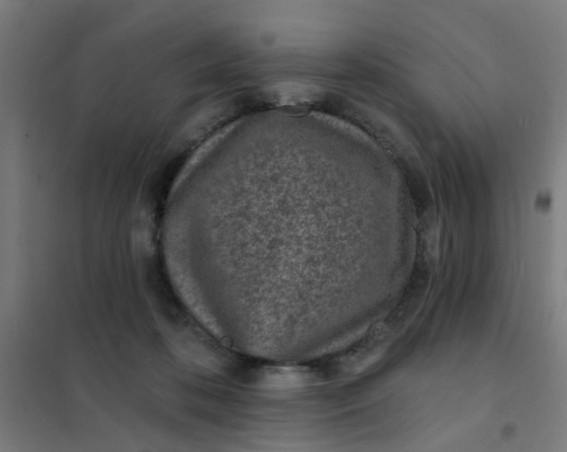 X0000101700316200807241439