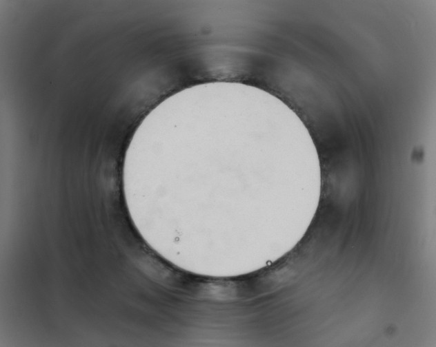 X0000101700317200807241439