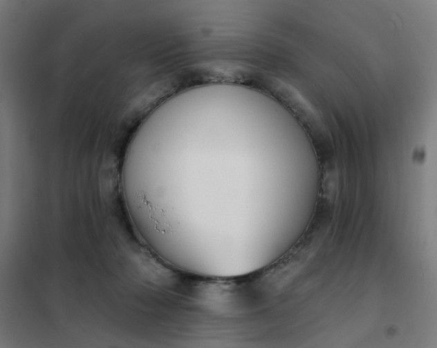 X0000101700318200807241439