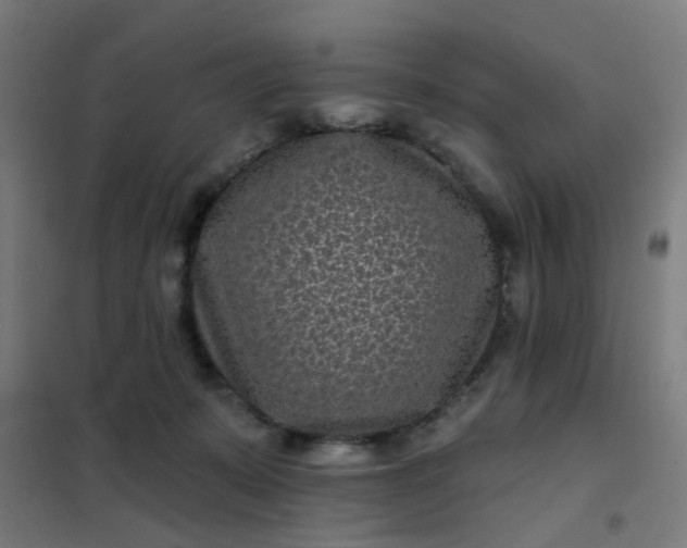 X0000101700319200807241439