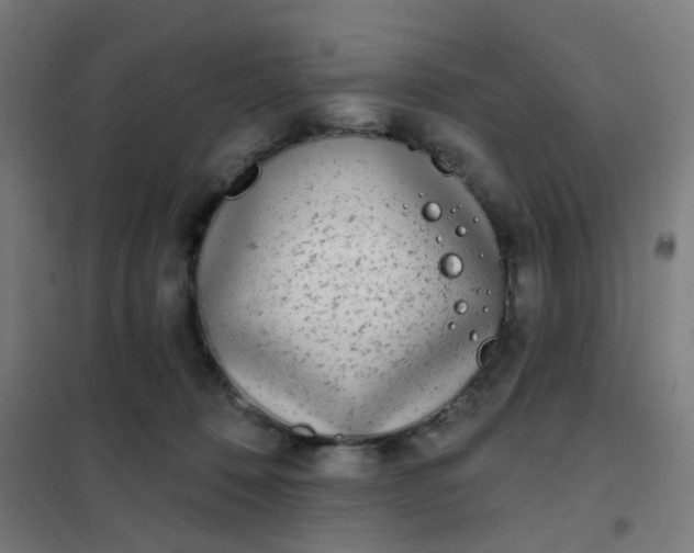 X0000101700320200807241439