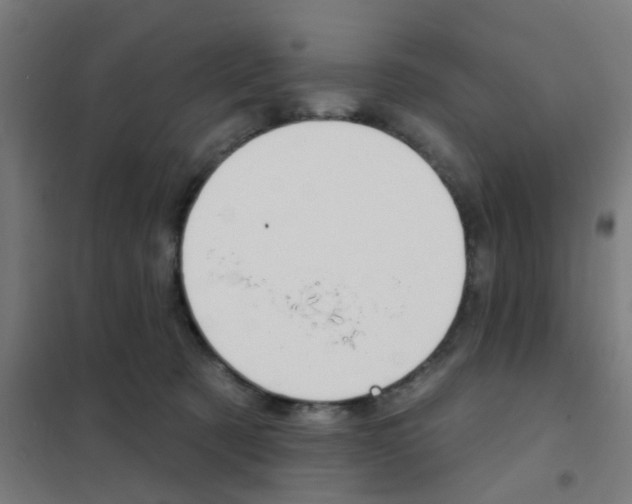 X0000101700321200807241439