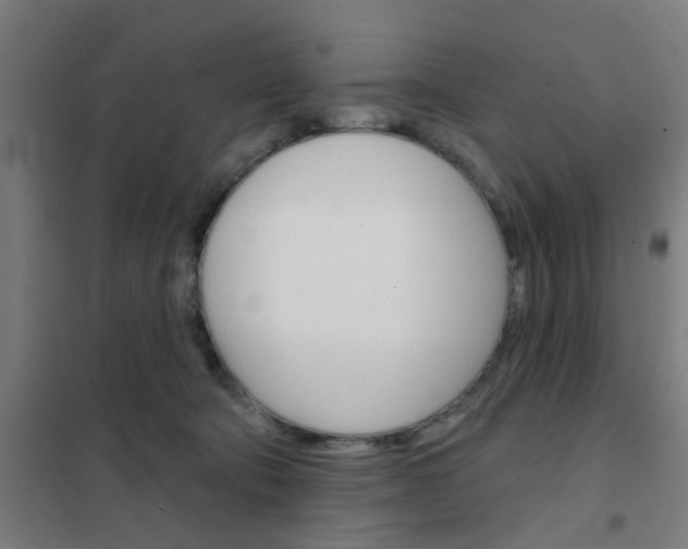 X0000101700322200807241439