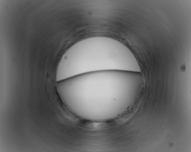 X0000101700323200807241439