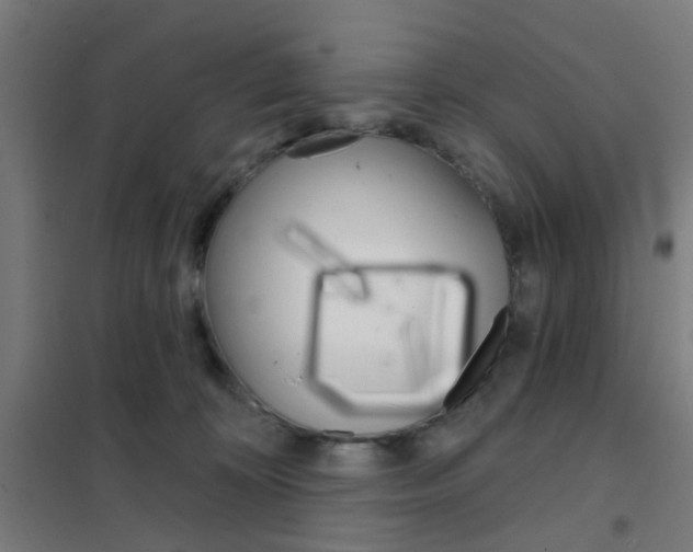 X0000101700324200807241439