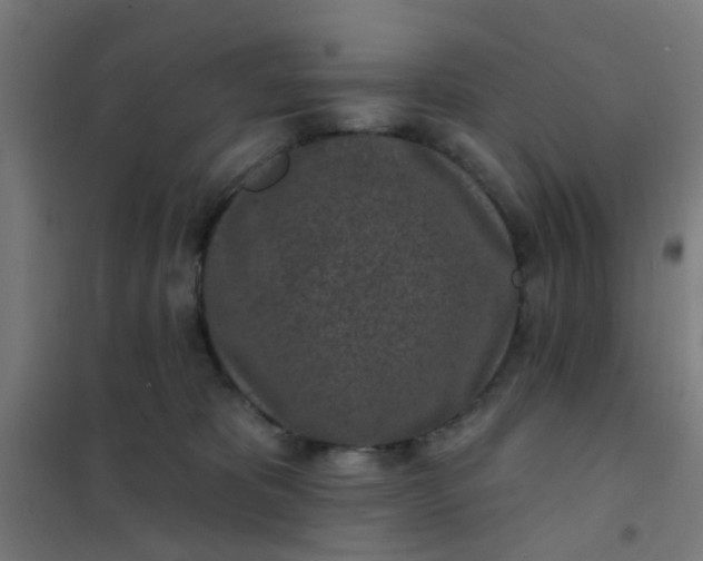 X0000101700325200807241439