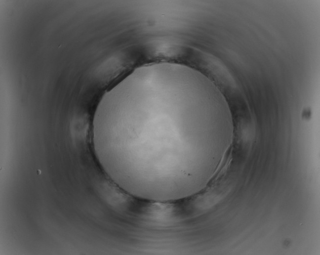 X0000101700328200807241439