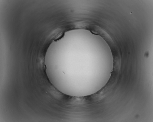 X0000101700329200807241439