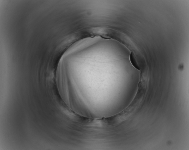 X0000101700330200807241439