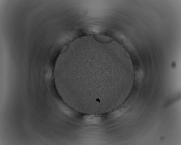 X0000101700331200807241439