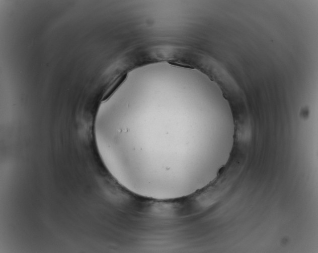 X0000101700332200807241439