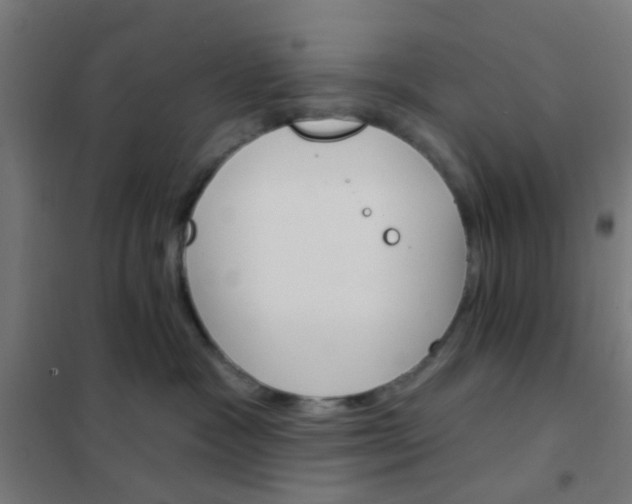 X0000101700333200807241439