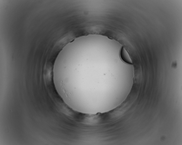 X0000101700334200807241439