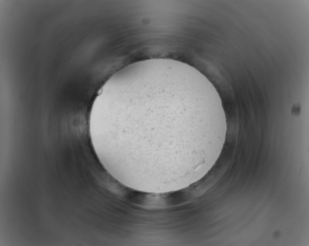 X0000101700335200807241439