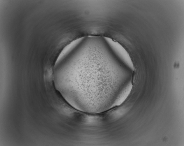 X0000101700336200807241439