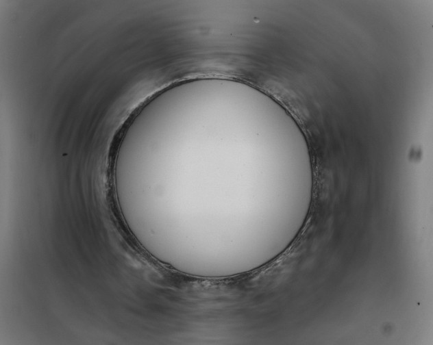 X0000101700338200807241438