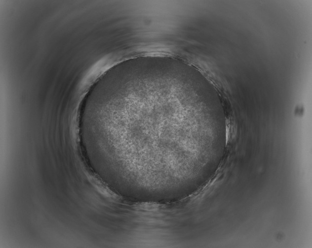 X0000101700339200807241438