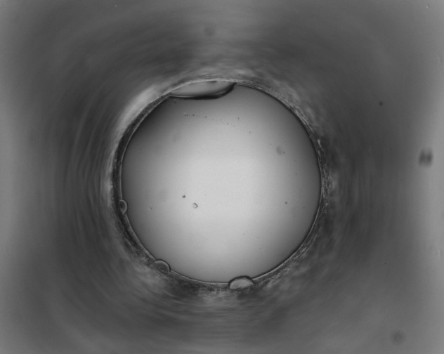 X0000101700340200807241438