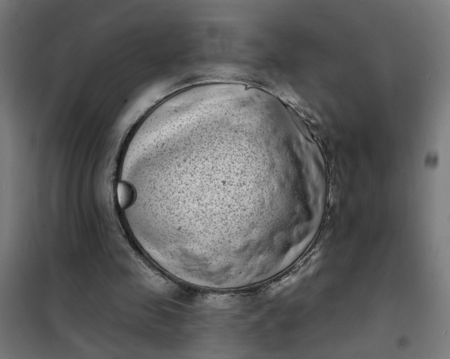 X0000101700341200807241438