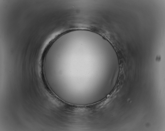 X0000101700342200807241438