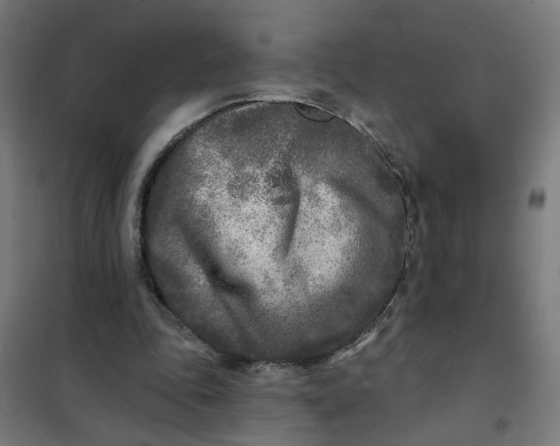 X0000101700343200807241438