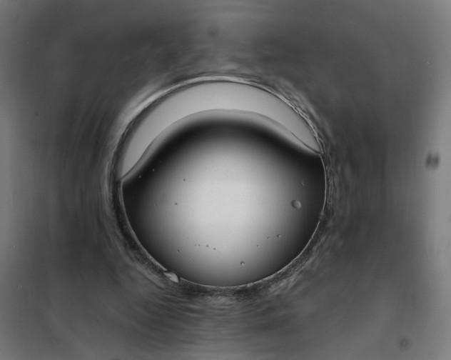 X0000101700344200807241438