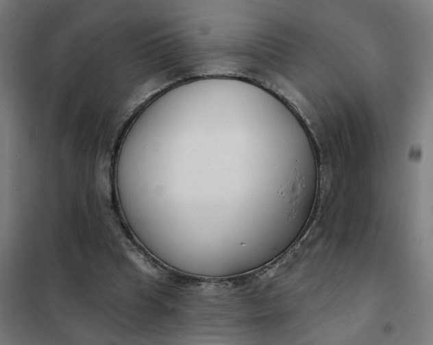 X0000101700345200807241438