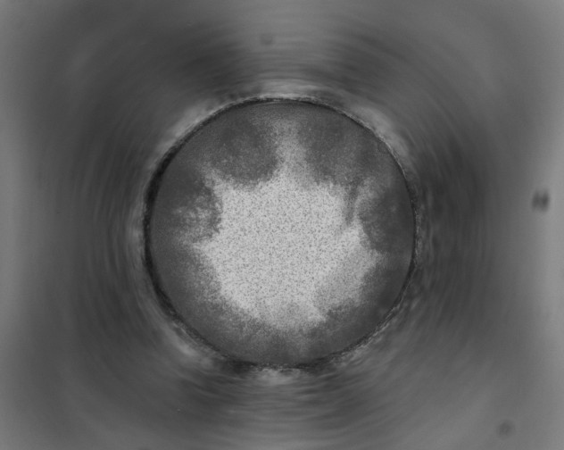 X0000101700346200807241438